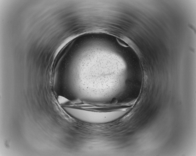 X0000099561052200805301537