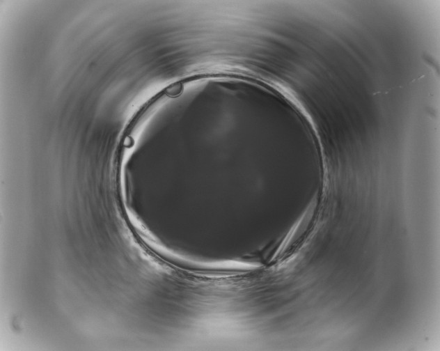 X0000099561053200805301537