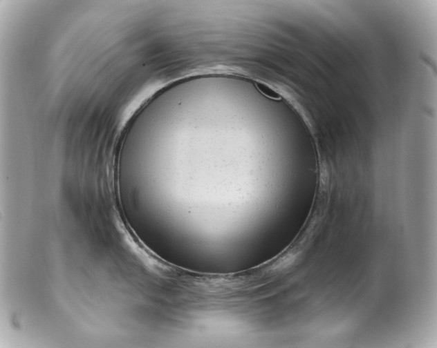 X0000099561054200805301537