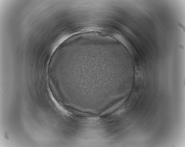 X0000099561055200805301537