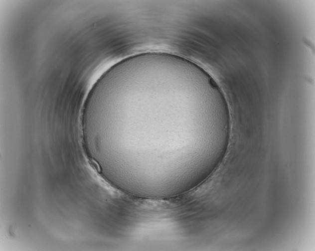 X0000099561056200805301537