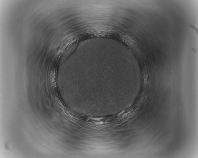 X0000099561060200805301537