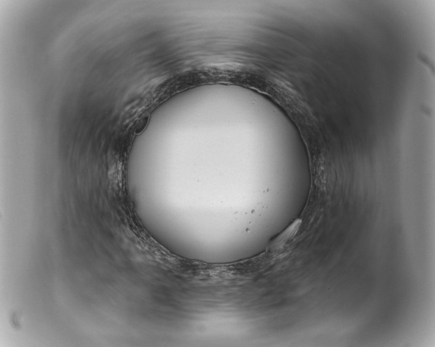 X0000099561061200805301537