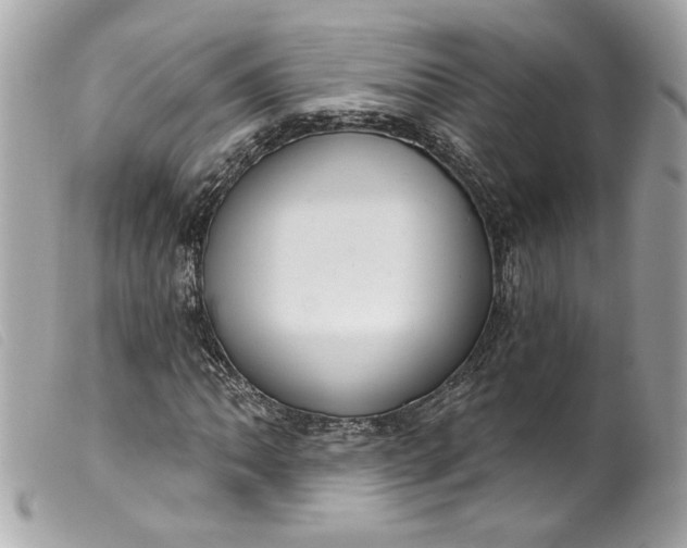 X0000099561062200805301537