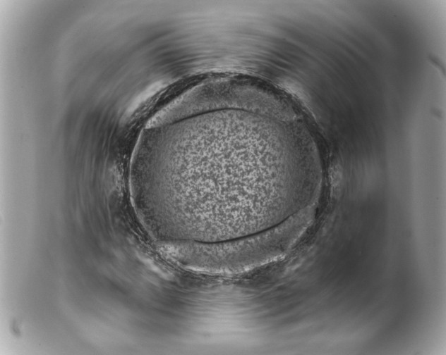 X0000099561064200805301537