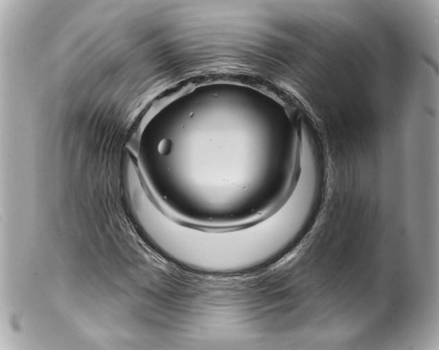 X0000099561065200805301537