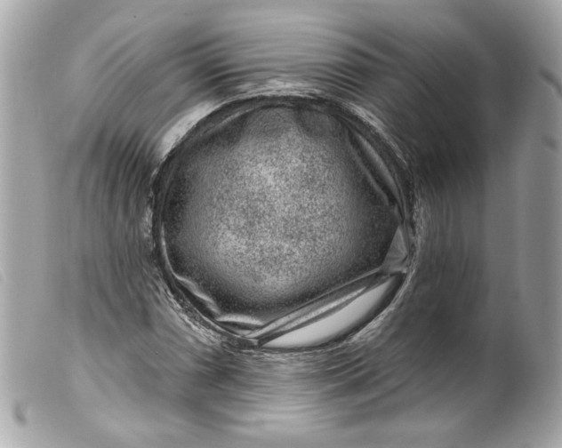 X0000099561066200805301537