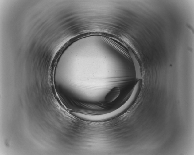 X0000099561068200805301537