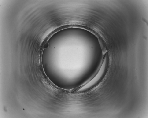 X0000099561069200805301537