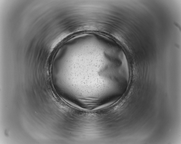 X0000099561070200805301537