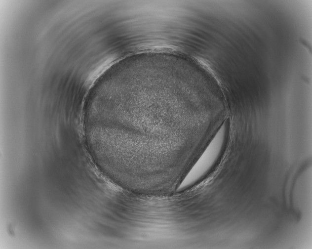 X0000099561071200805301537