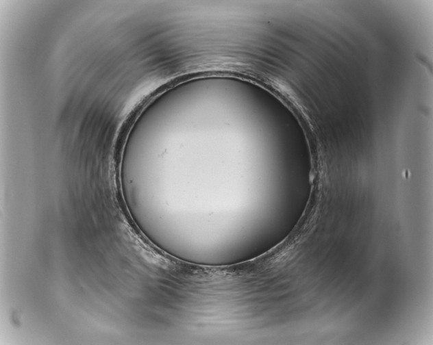 X0000099561072200805301537