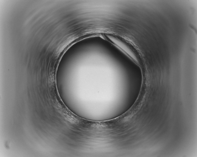 X0000099561073200805301537