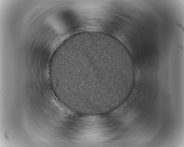 X0000099561074200805301536