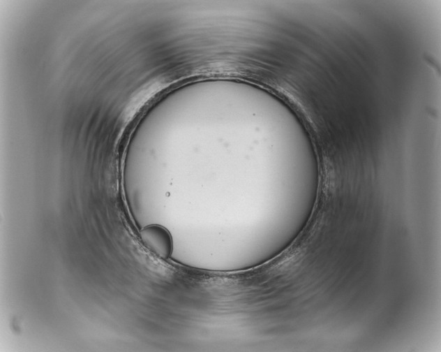 X0000099561075200805301536