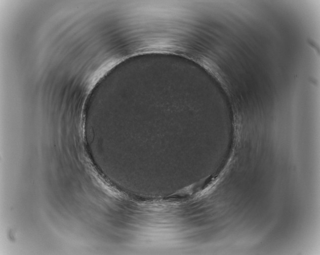 X0000099561077200805301536