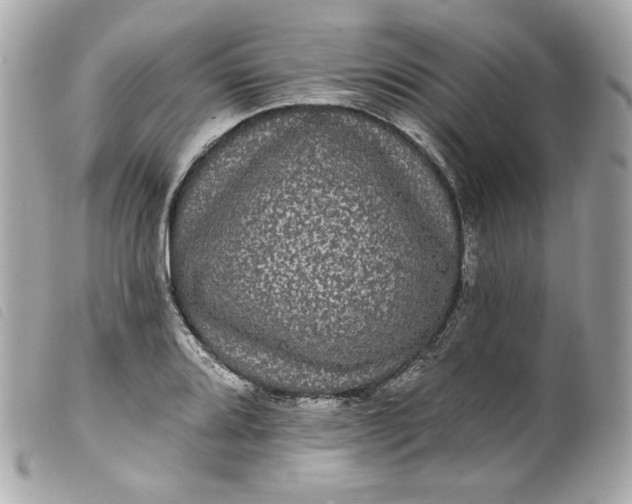 X0000099561080200805301536