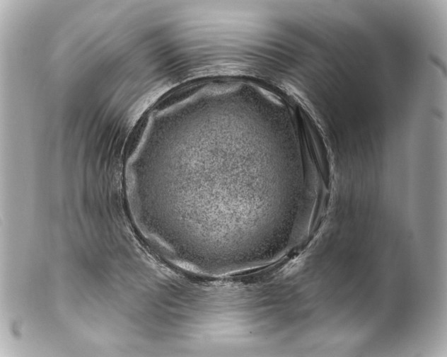 X0000099561081200805301536