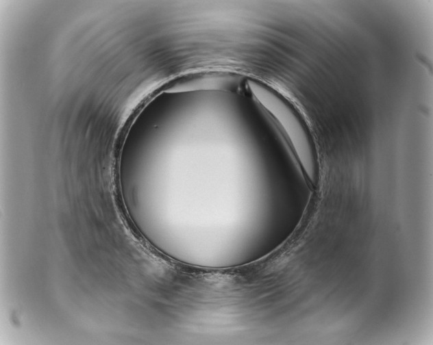 X0000099561085200805301536