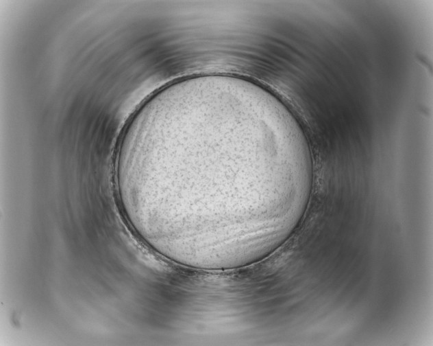 X0000099561086200805301536