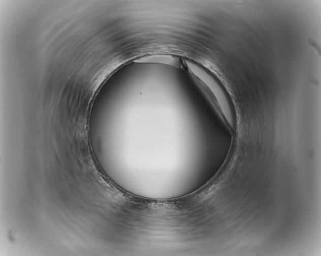 X0000099561089200805301536