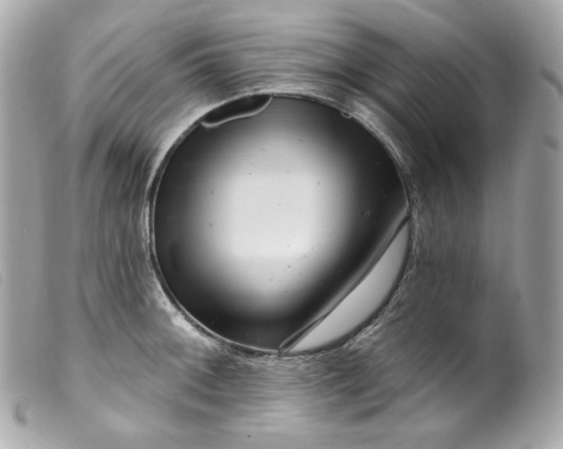 X0000099561092200805301536