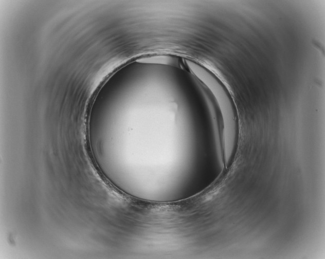 X0000099561093200805301536