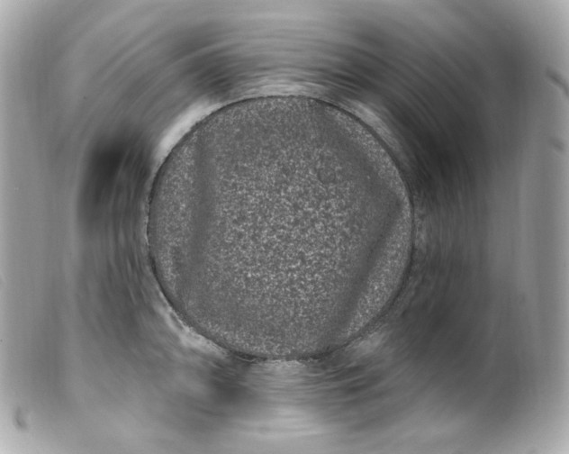 X0000099561094200805301536