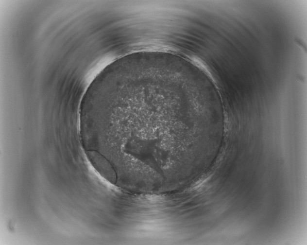 X0000099561095200805301536