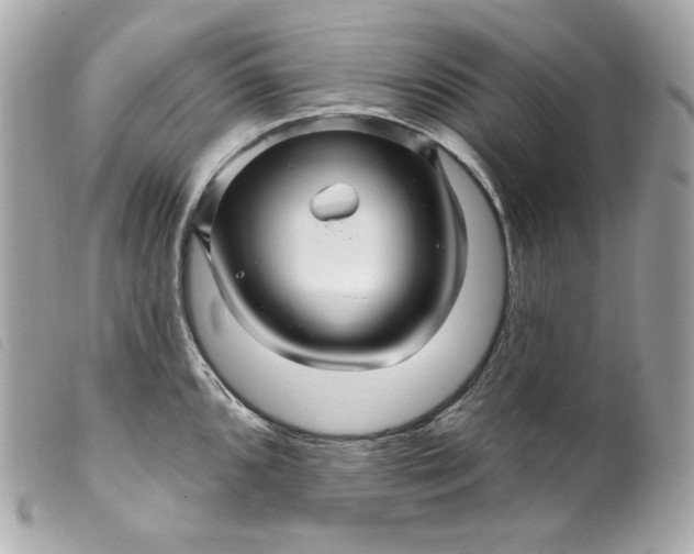 X0000099561096200805301536