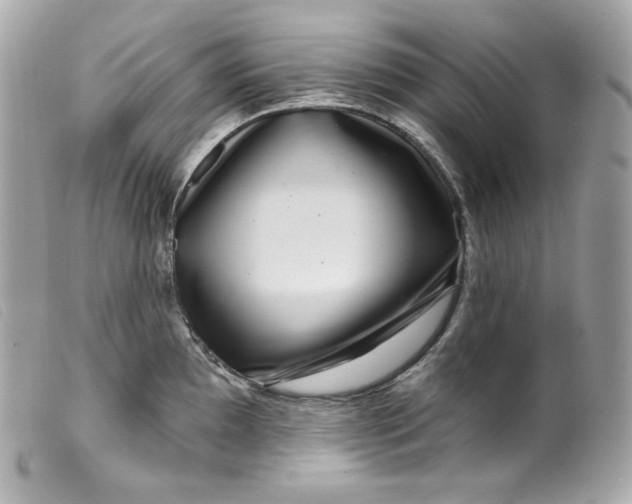 X0000099561097200805301536