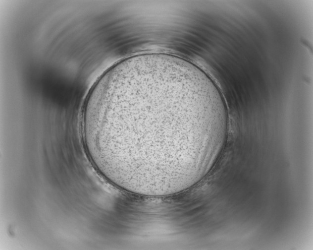 X0000099561098200805301536