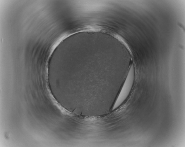 X0000099561099200805301536