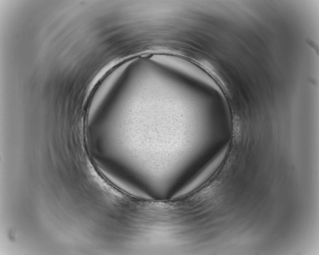 X0000099561100200805301536