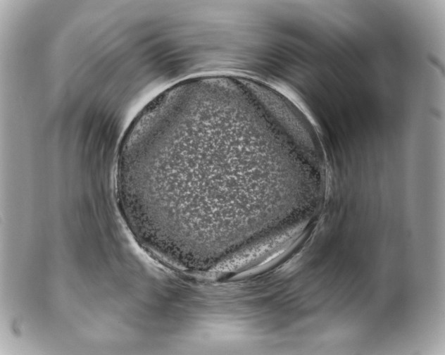 X0000099561101200805301536