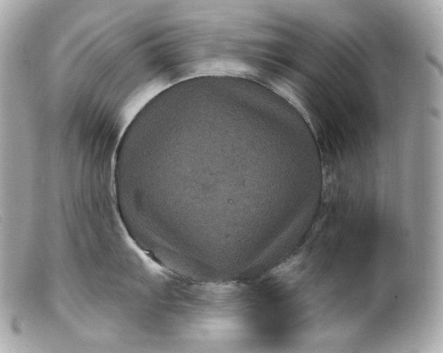 X0000099561103200805301536