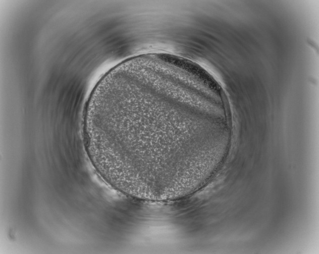 X0000099561104200805301536