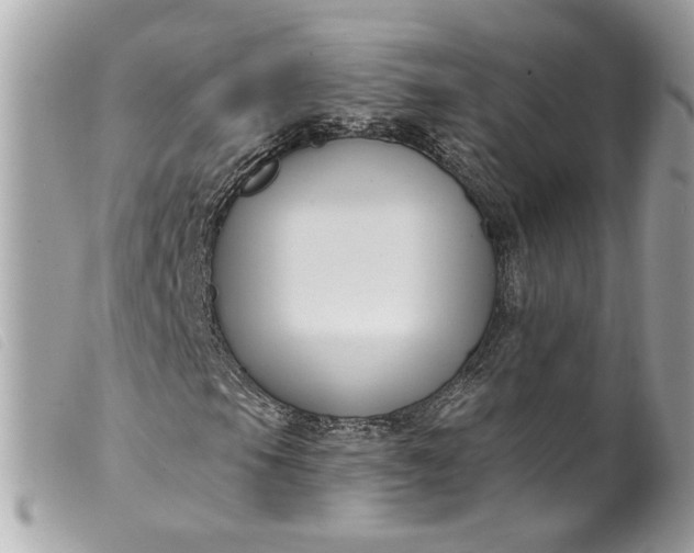 X0000099561105200805301535