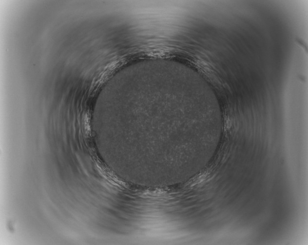 X0000099561106200805301536