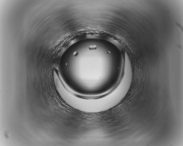 X0000099561110200805301536