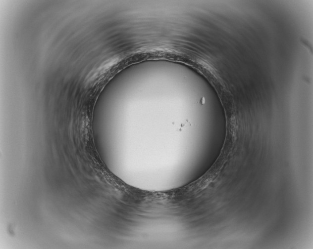 X0000099561111200805301536