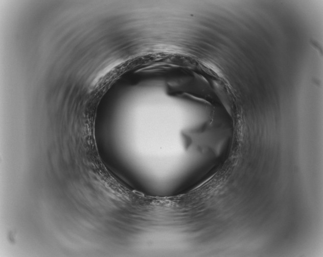 X0000099561112200805301536