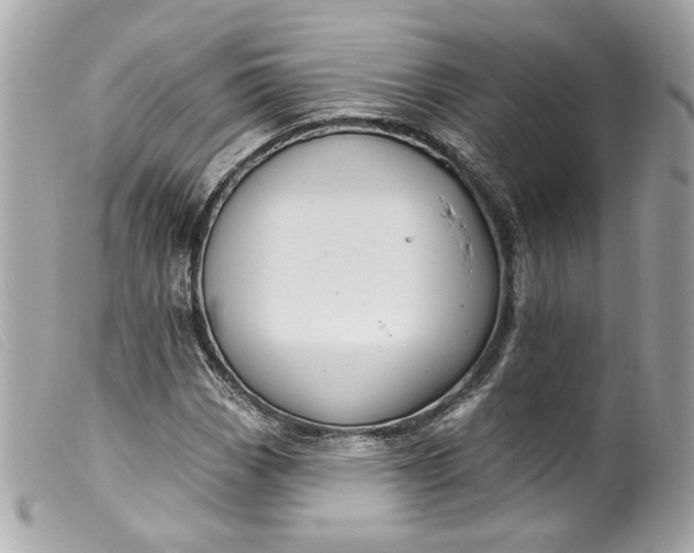 X0000099561113200805301536