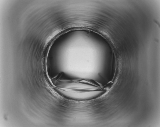 X0000099561114200805301536