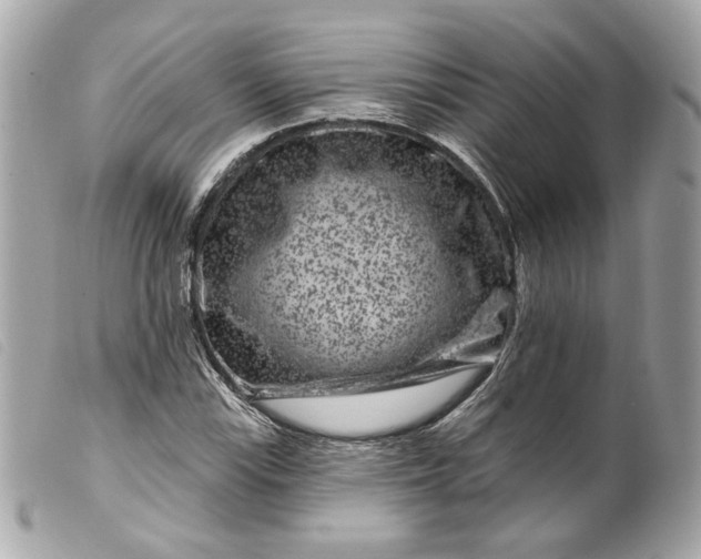 X0000099561115200805301536