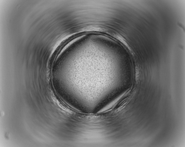 X0000099561116200805301536