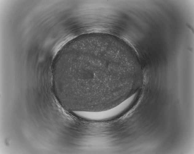 X0000099561117200805301536