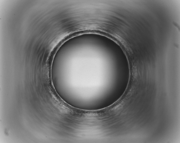 X0000099561118200805301536