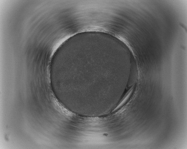 X0000099561120200805301536