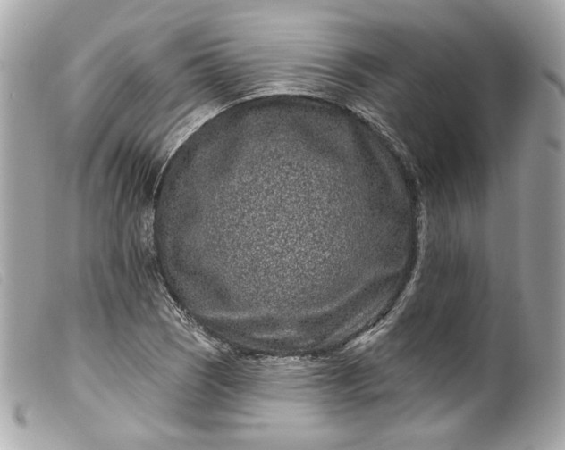 X0000099561121200805301536